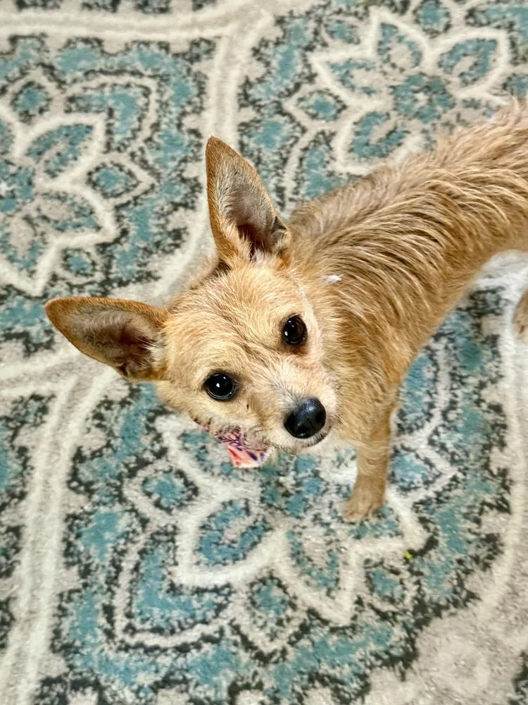 Chloe thumbnail 3