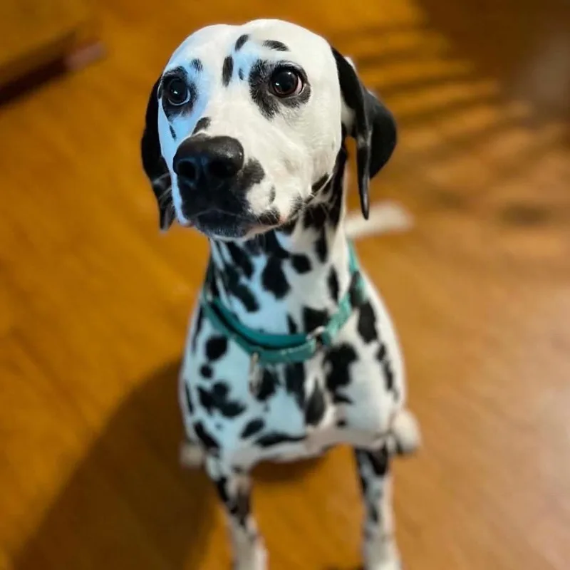 Charlie