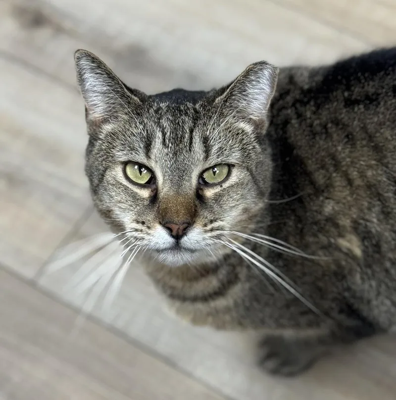 Bundy Orchard thumbnail 3