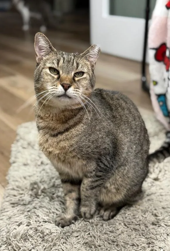 Bundy Orchard thumbnail 4