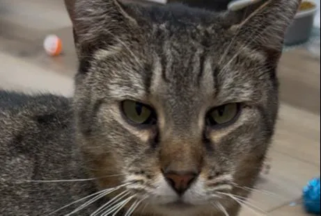 Bundy Orchard thumbnail 6