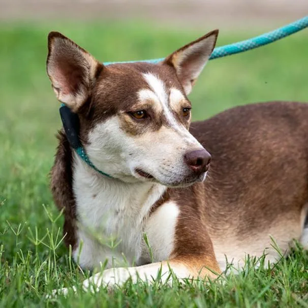 Mullen Jum thumbnail 2