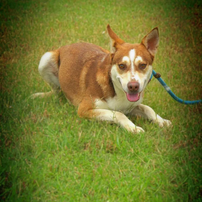 Mullen Jum thumbnail 3