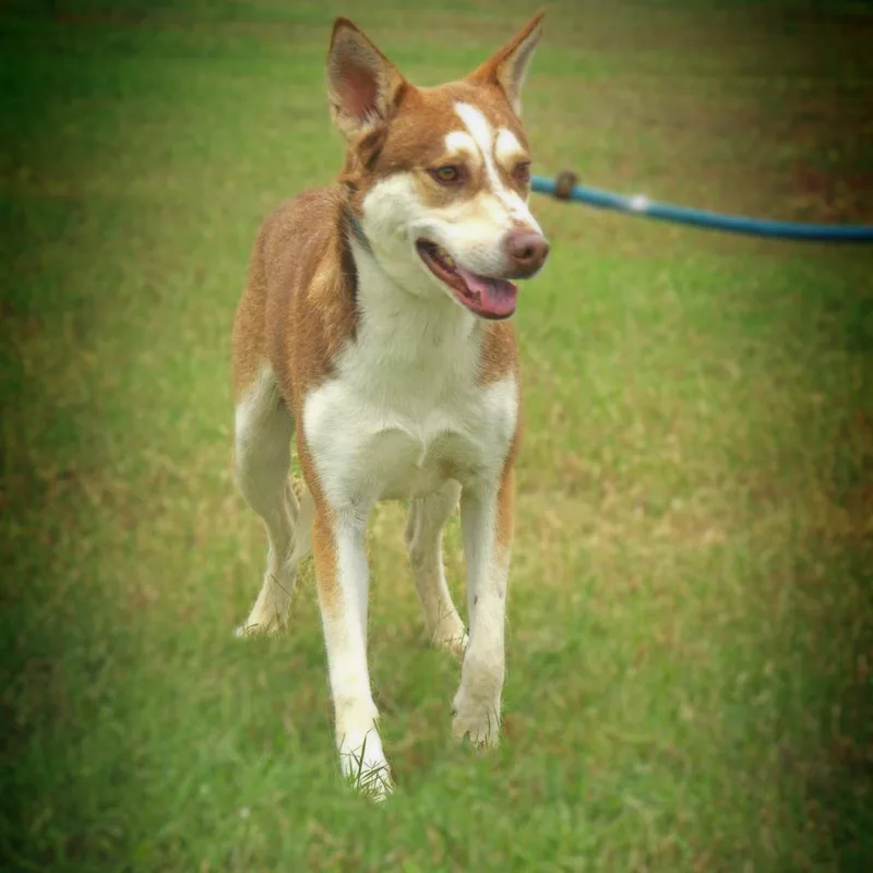 Mullen Jum thumbnail 4