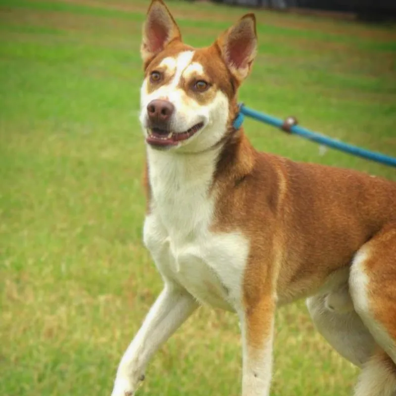 Mullen Jum thumbnail 5