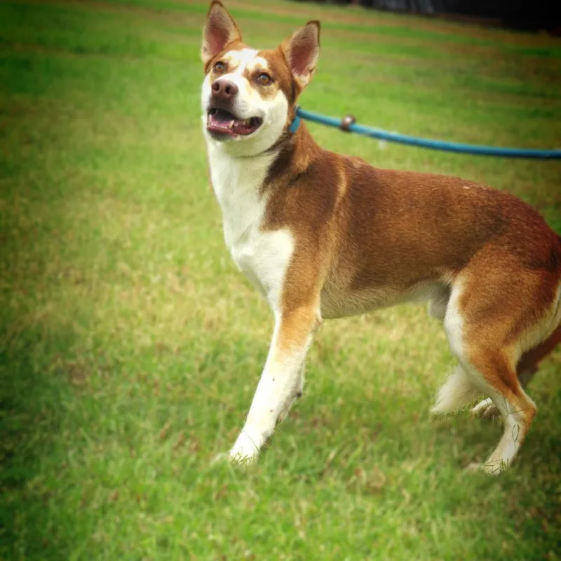 Mullen Jum thumbnail 6