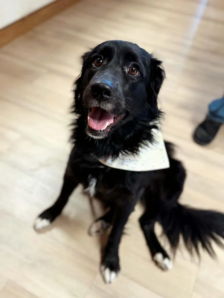 Penelope thumbnail 3