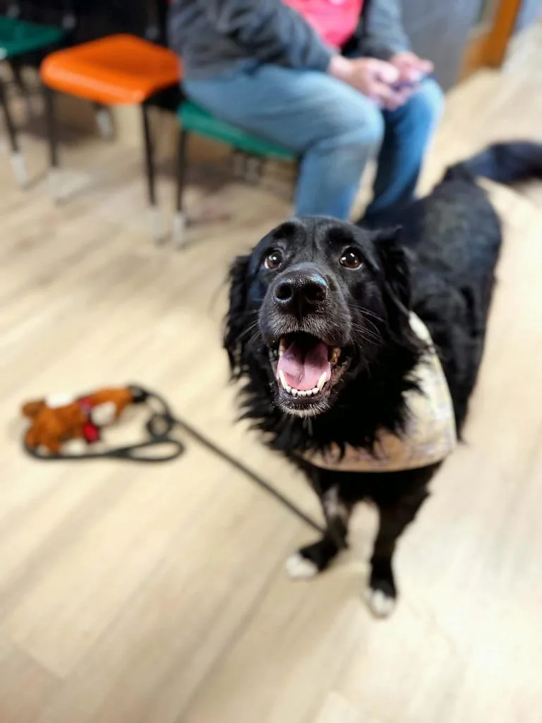 Penelope thumbnail 4