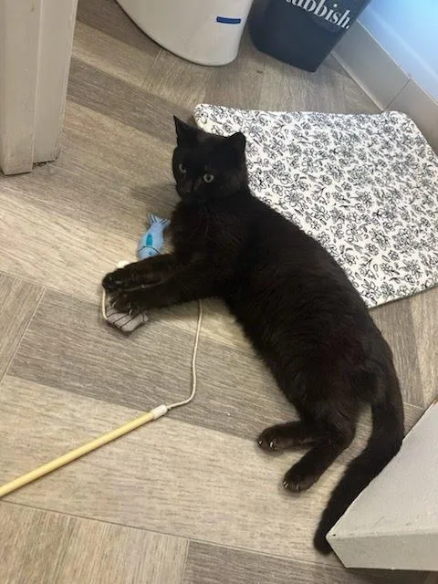 Smithwick thumbnail 2