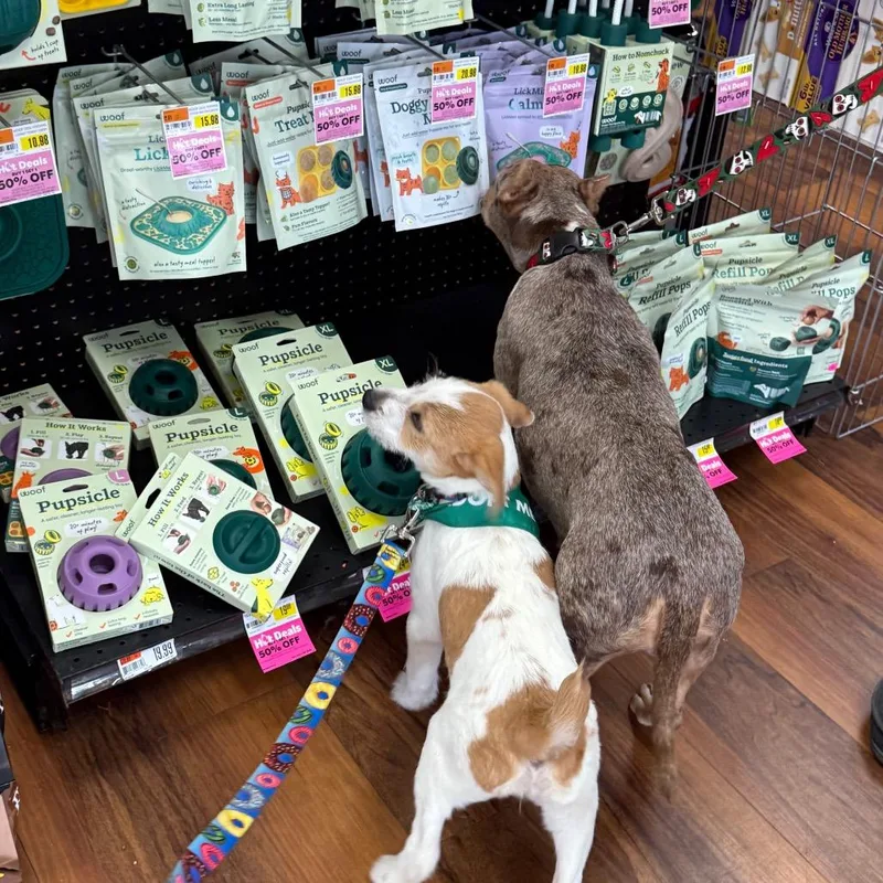 Merry Mistletoe thumbnail 4