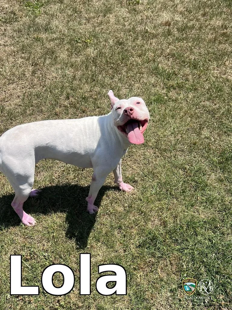 Lola thumbnail 2
