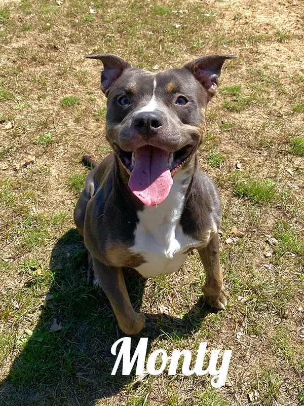 Monty