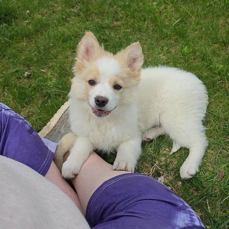 Fluffy Mc Touchie Butt thumbnail 2