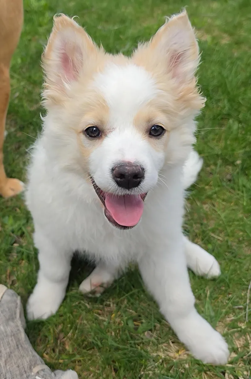 Fluffy Mc Touchie Butt thumbnail 3