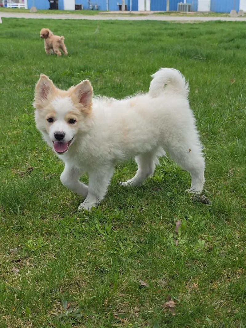 Fluffy Mc Touchie Butt thumbnail 5