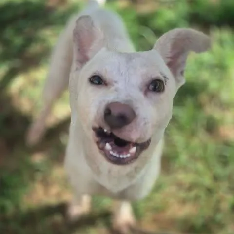 Coco