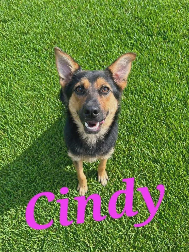 Cindy thumbnail 2