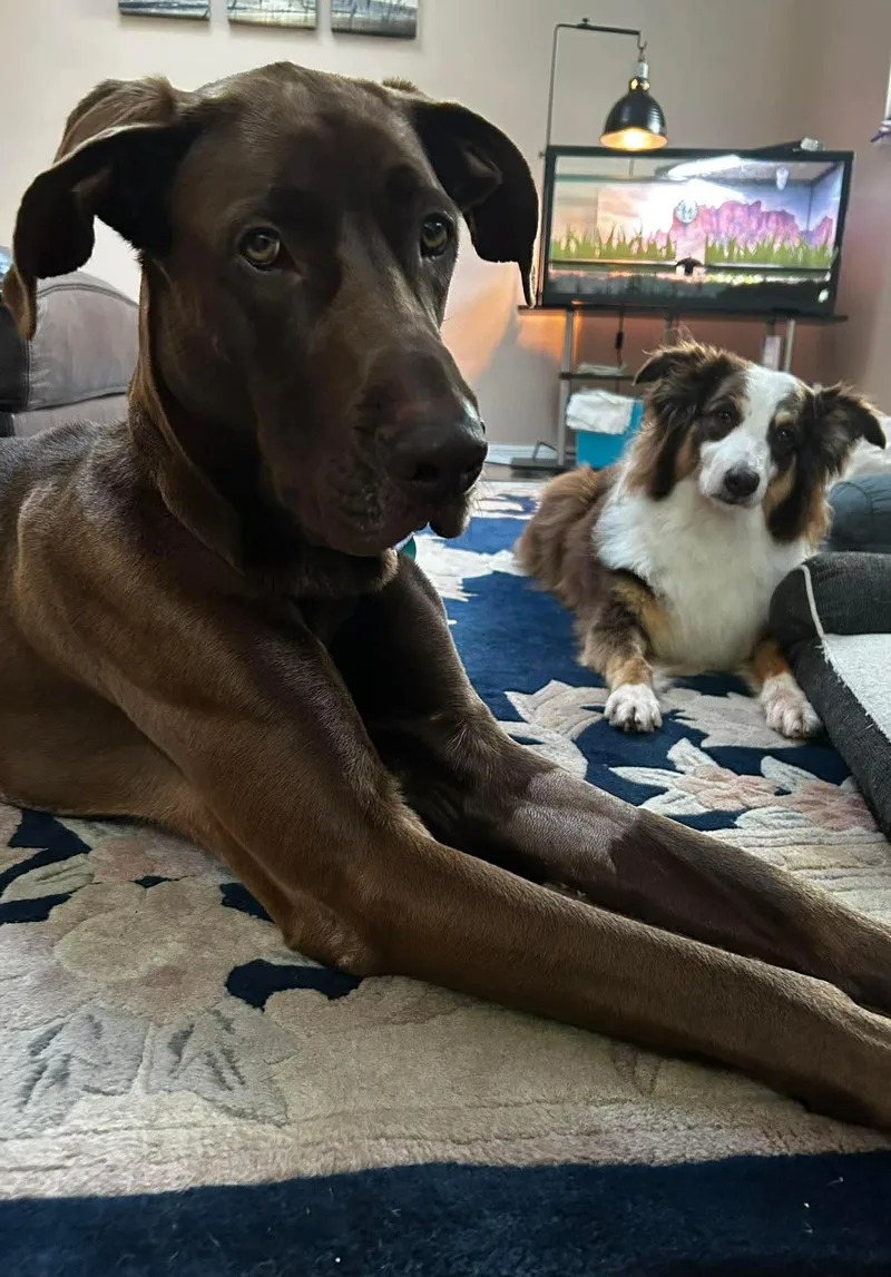 Eowyn Aka Roo thumbnail 2