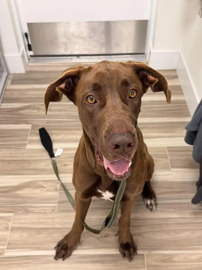 Eowyn Aka Roo thumbnail 3