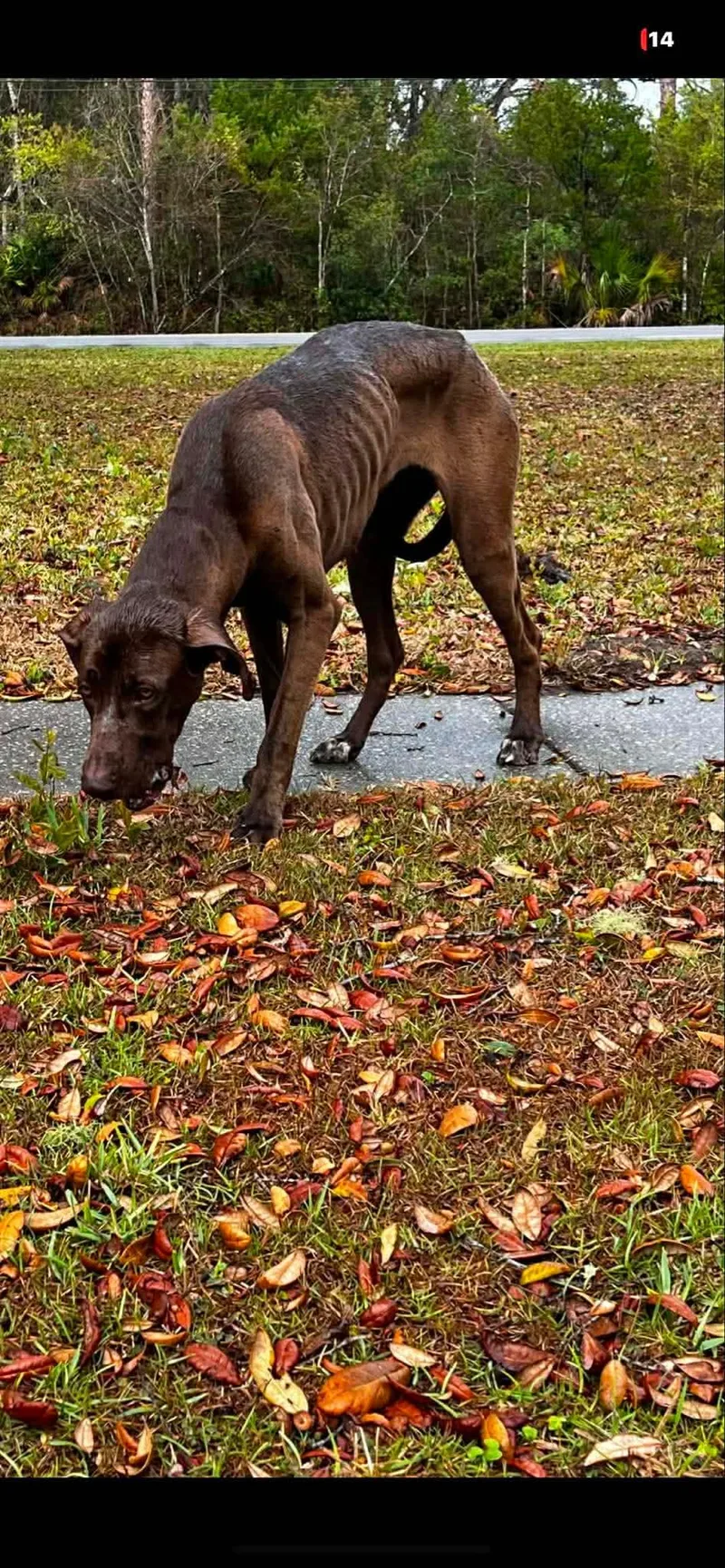 Eowyn Aka Roo thumbnail 5