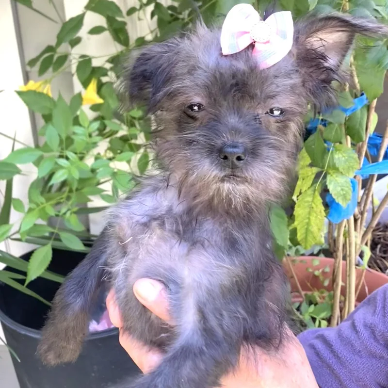 Nadia thumbnail 3