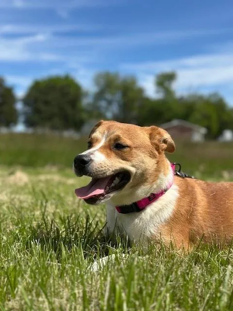 Sammie
