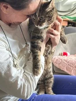 Blanket! The Beautiful Sweetest thumbnail 3