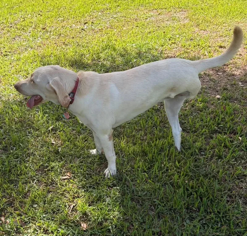Sadie