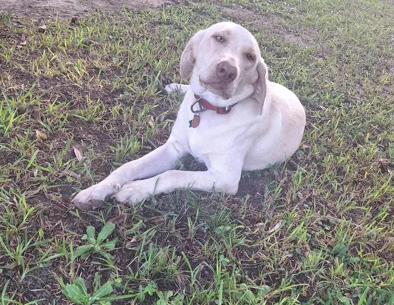 Sadie thumbnail 6