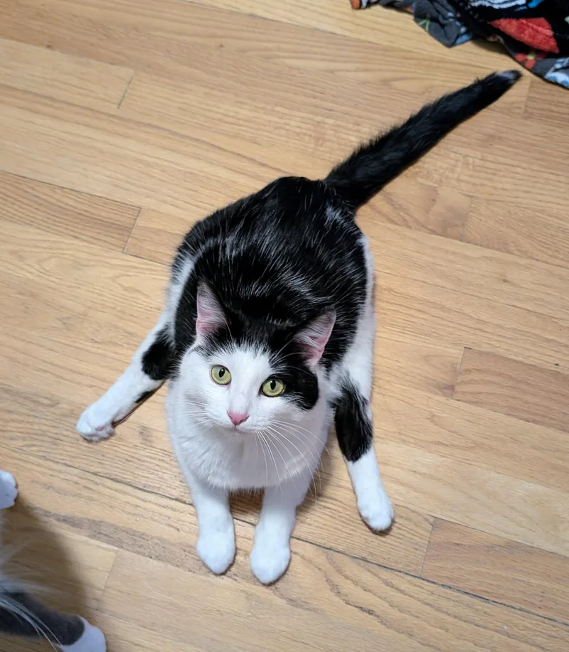 Fart Jacobs thumbnail 2