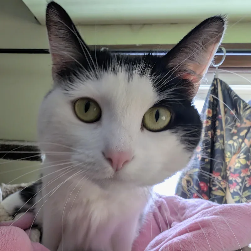 Fart Jacobs thumbnail 3