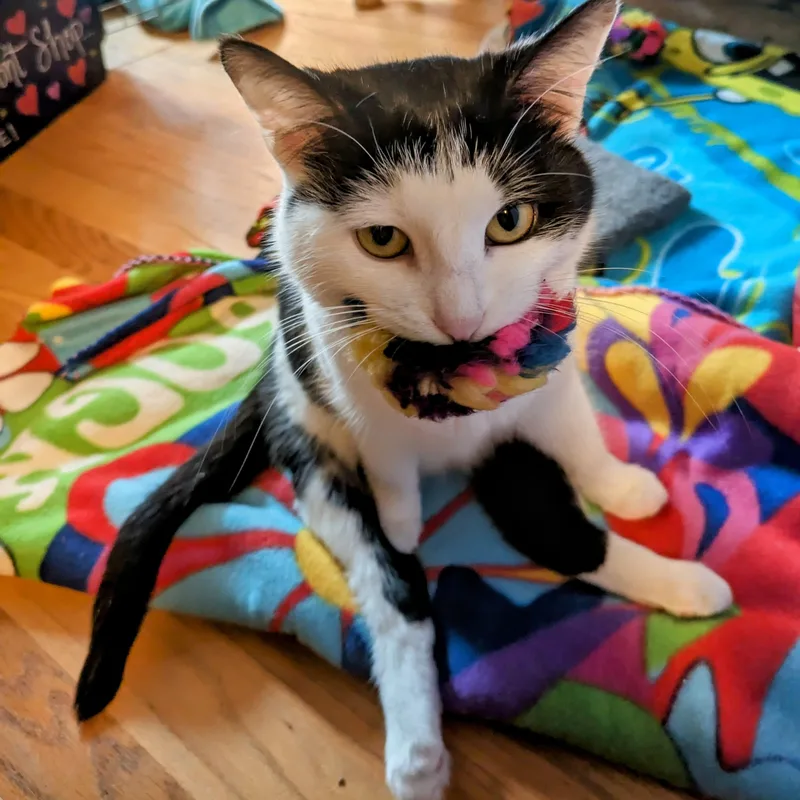 Fart Jacobs thumbnail 4