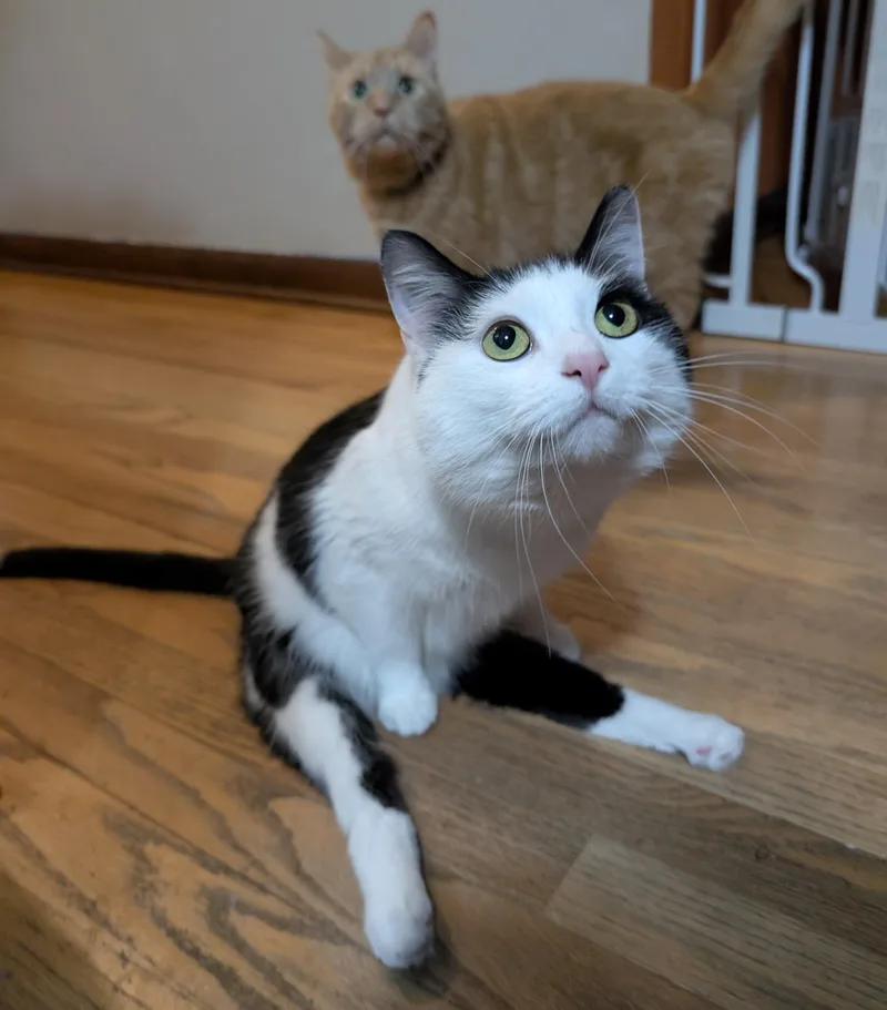 Fart Jacobs thumbnail 5