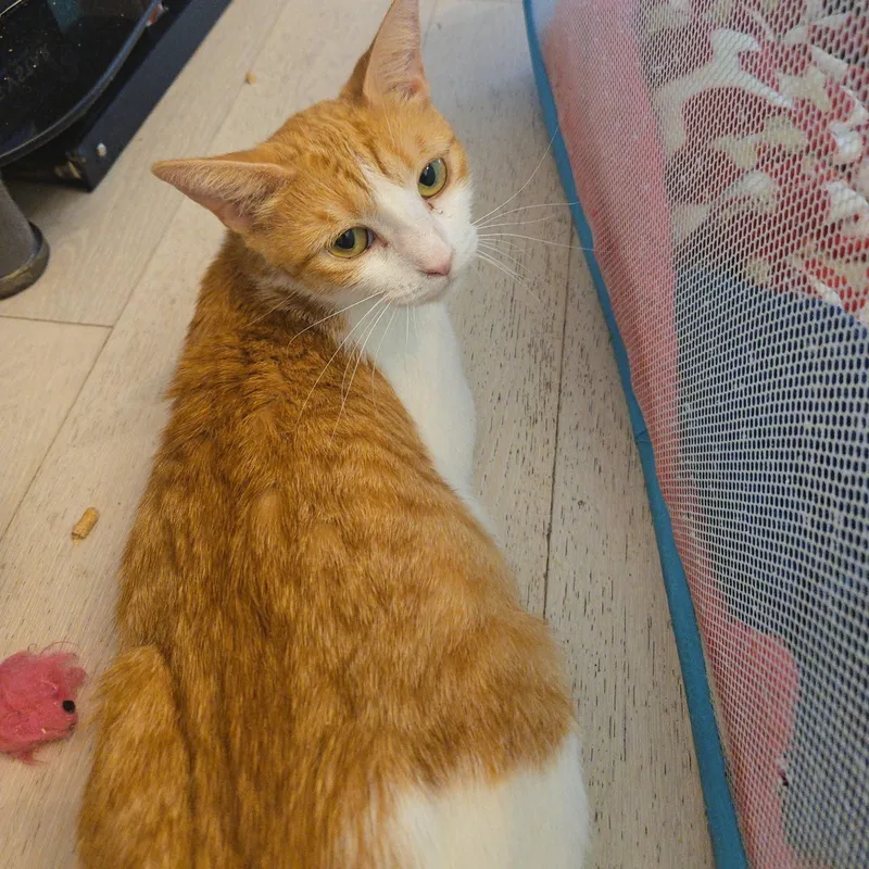 Maddy thumbnail 2