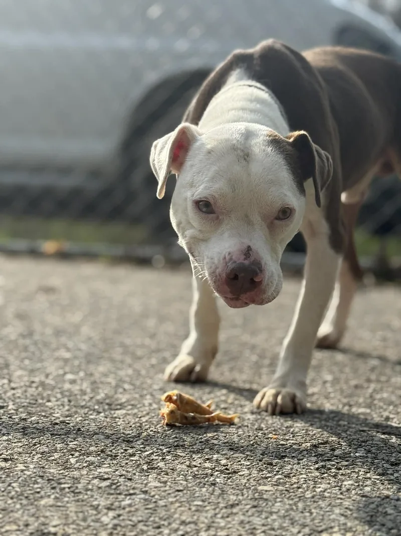 Axle