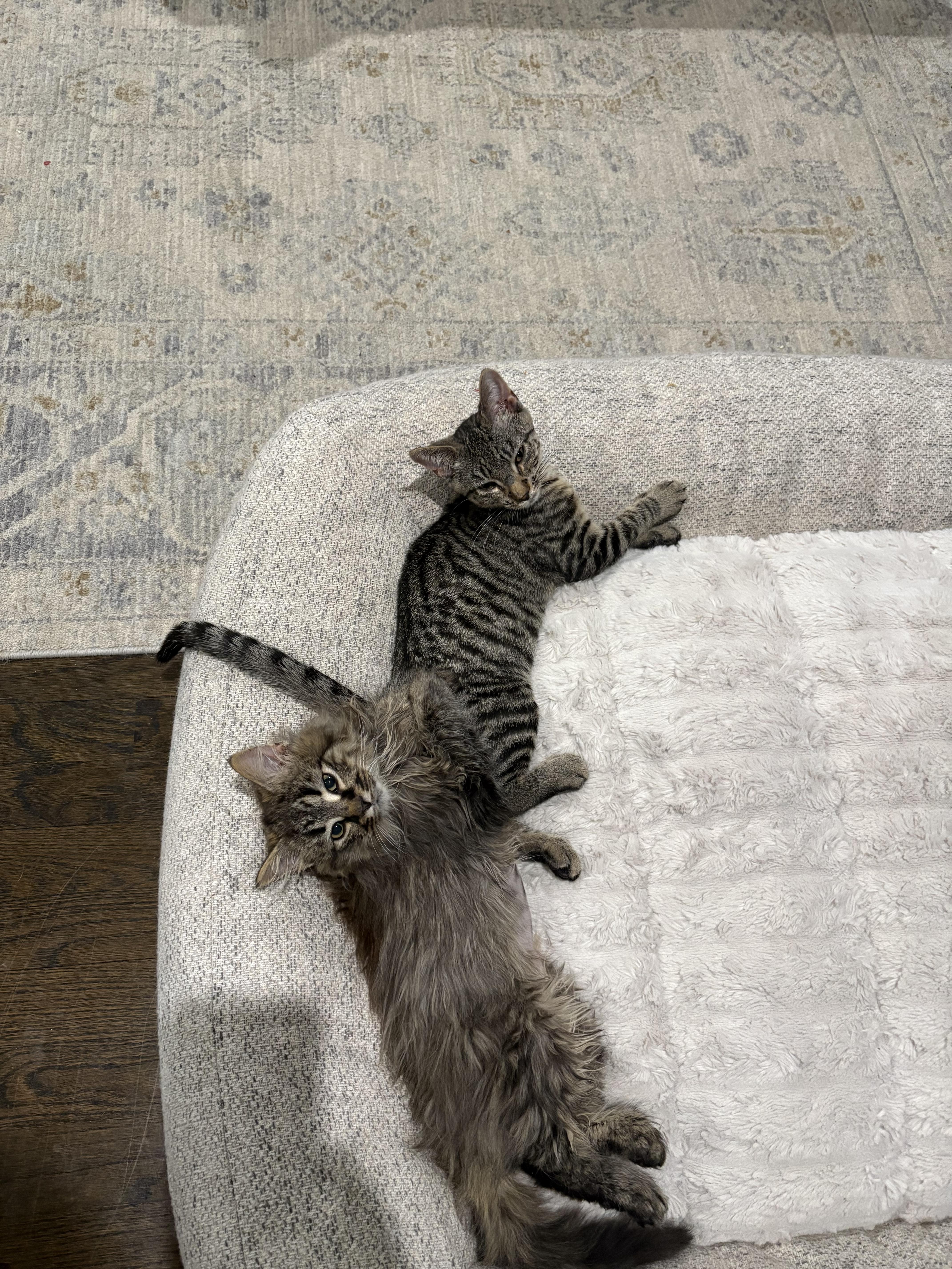 Stuffin' Aka Toshi thumbnail 4