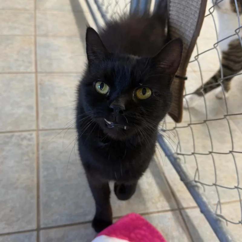 It Is Wednesday My thumbnail 3