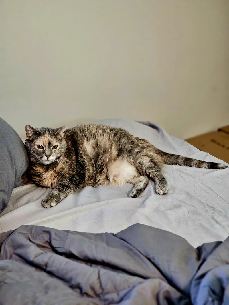 Missy Olive thumbnail 2