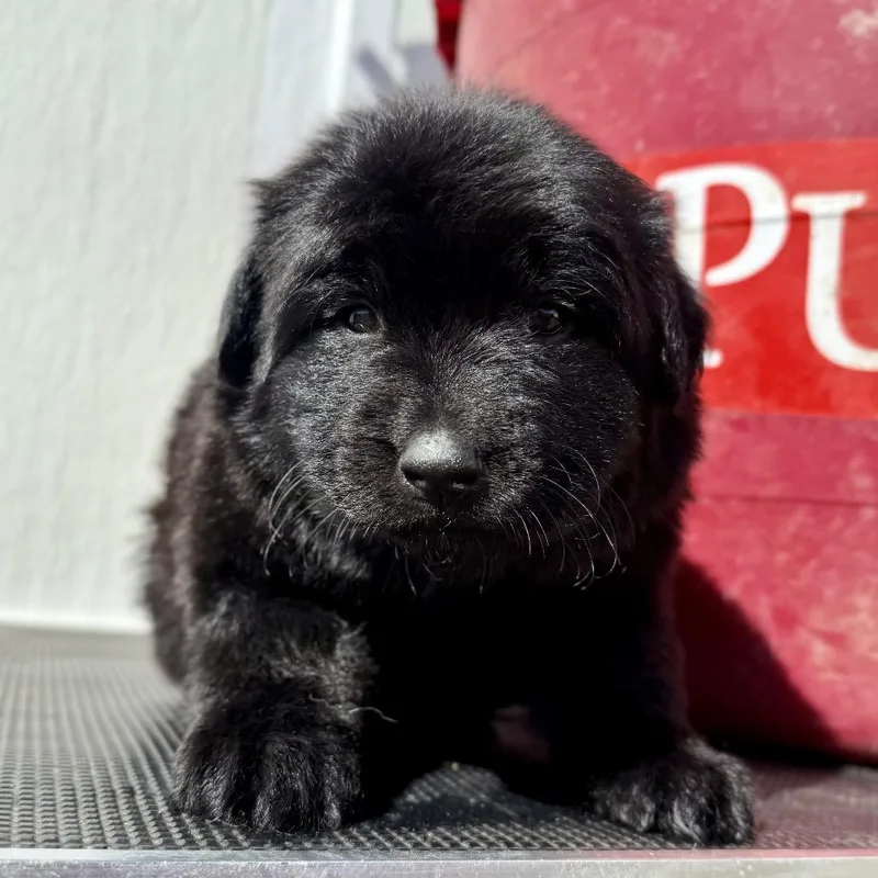 Fwt Luke thumbnail 2