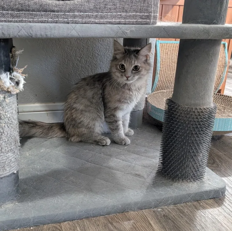 Sloan Peterson thumbnail 3