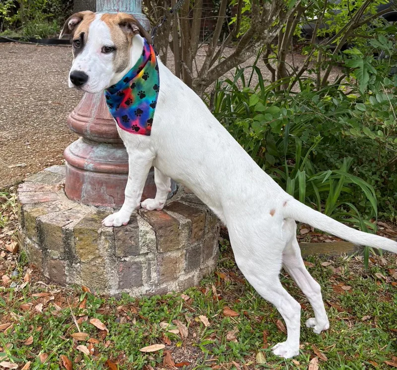 Ginny Sweet Girl