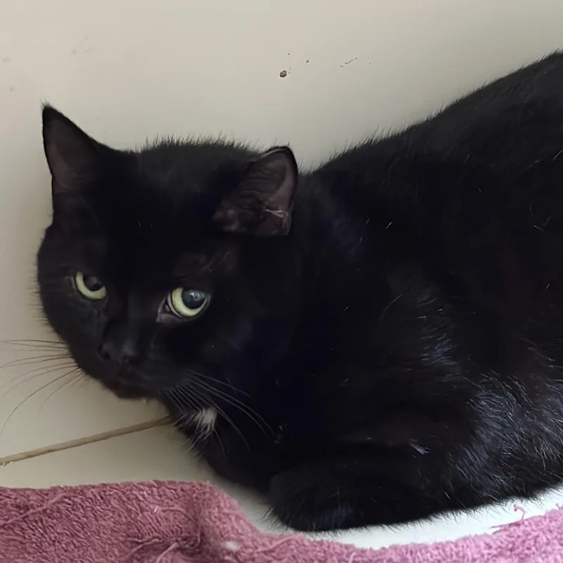 Charlotte thumbnail 5