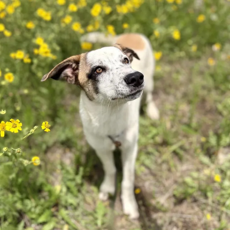 Maggie thumbnail 6