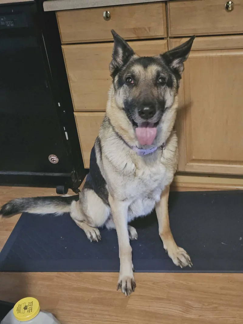 Maggie