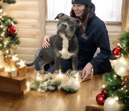 Seraphina thumbnail 3