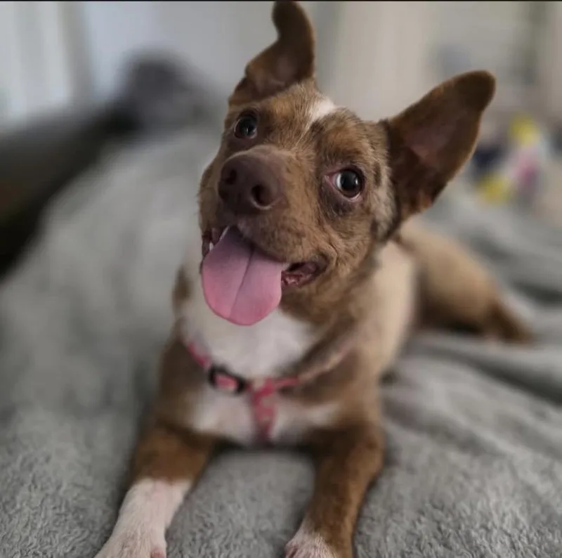 Gretchen thumbnail 2