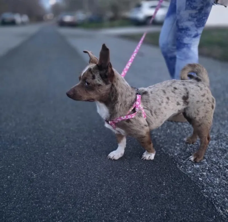 Gretchen thumbnail 3