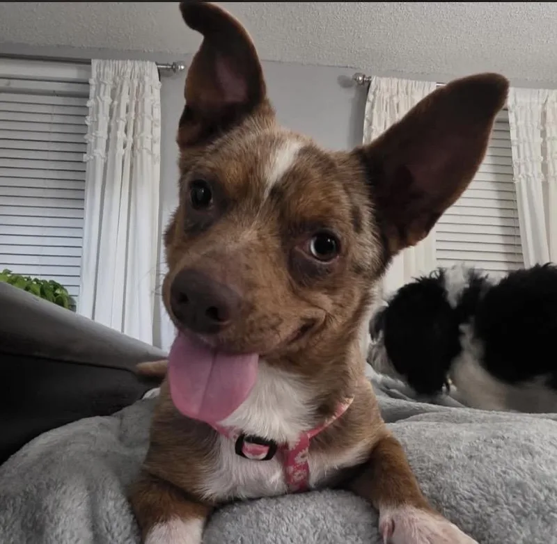 Gretchen thumbnail 5