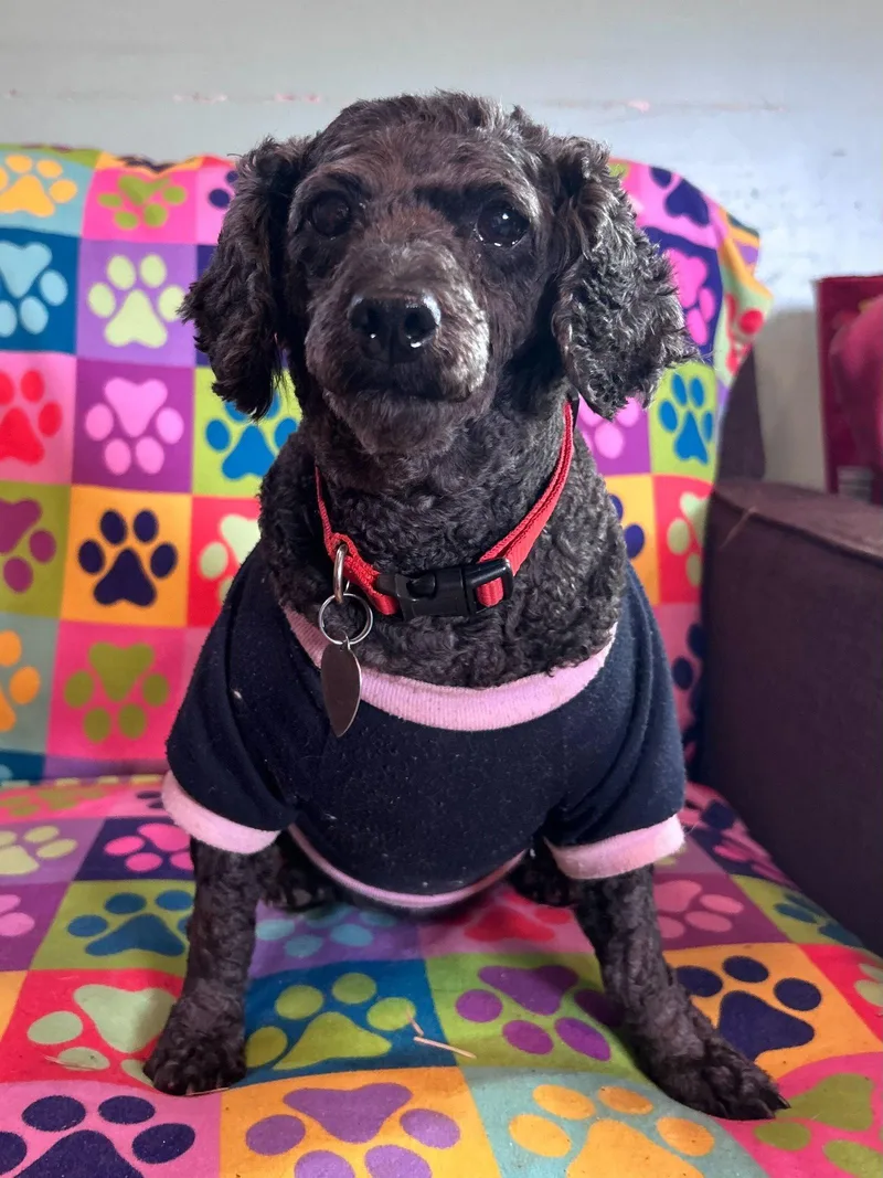 Precious Feb thumbnail 2