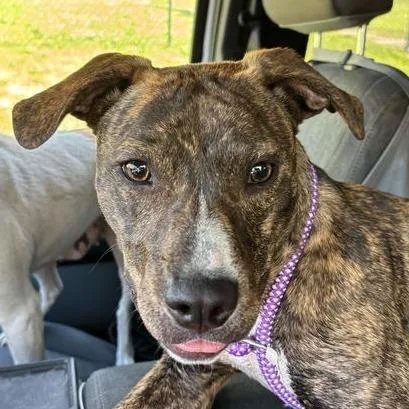 Baby Girl thumbnail 2